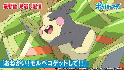 ポケットモンスター 民放公式テレビポータル Tver ティーバー 無料で動画見放題